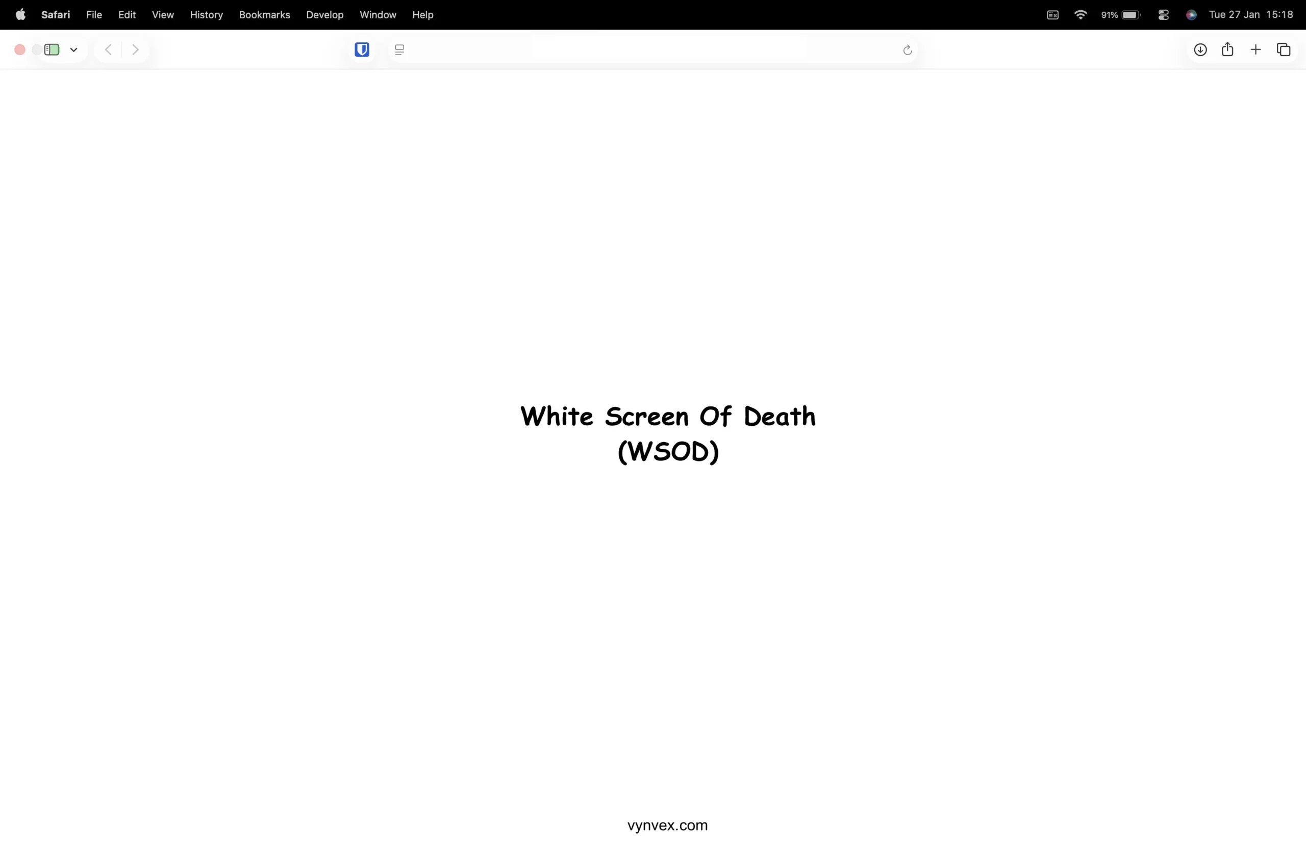 WordPress white screen of death error example