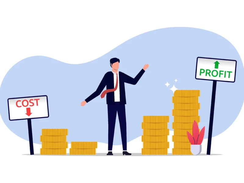 Low Cost High Profit